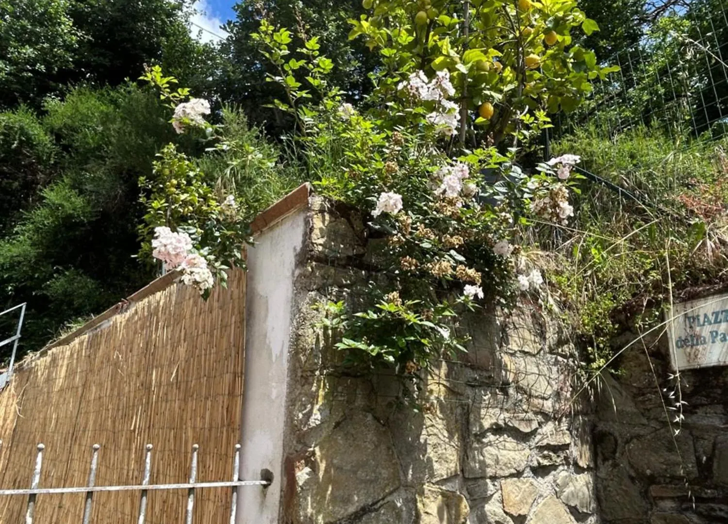 Vacanze Toscane Relax Privacy San Baronto Holiday home
